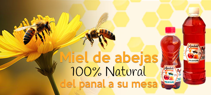 Miel de abejas 100% natural Miel de abejas 100% natural