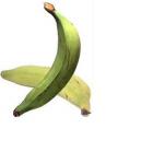 platano vianda
