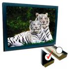 Cuadro ¨tigres blancos¨ 