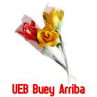 Flor de caramelo