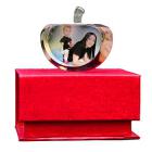 Adornos de Cristal Manzanita con fotos personalizadas