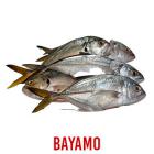 Pescado Jurel paquete 1 kg