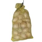 cebolla